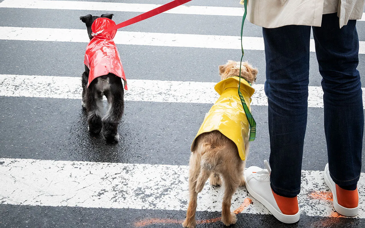 Dog Coat - Slickers, Raincoats, 6 Color Options