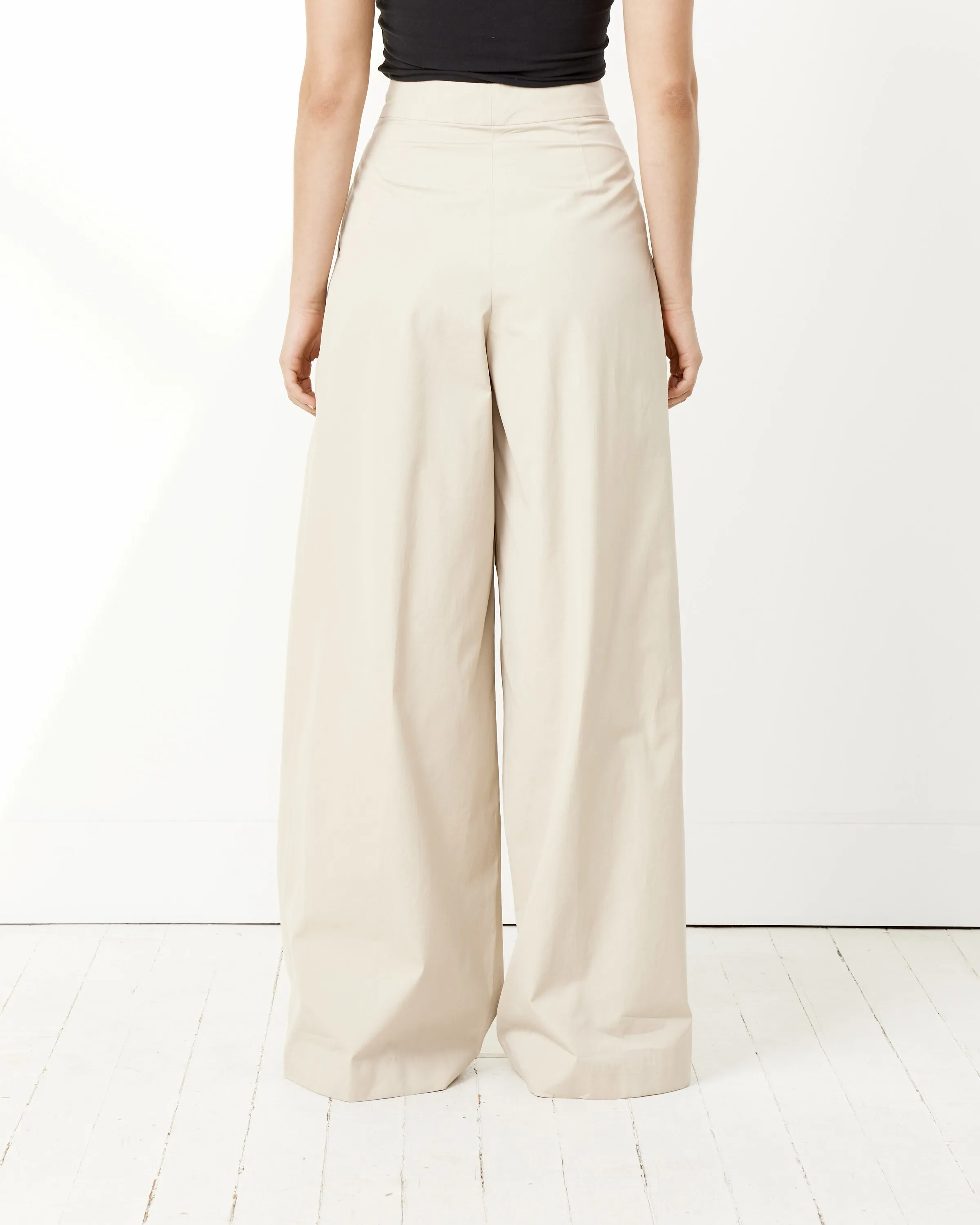 Pleated Pants